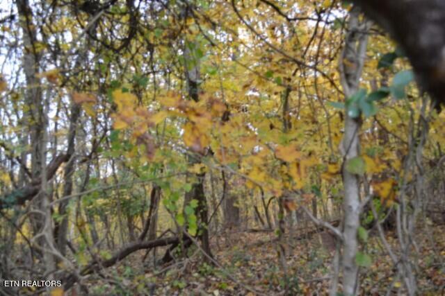 10.70-ac Red Oak Ridge Road Celina, TN 38551 - Photo 31 of 39 DSC_0031