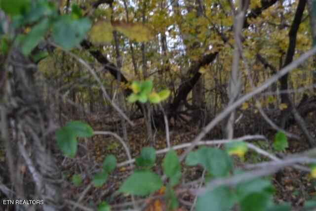 10.70-ac Red Oak Ridge Road Celina, TN 38551 - Photo 33 of 39 DSC_0034