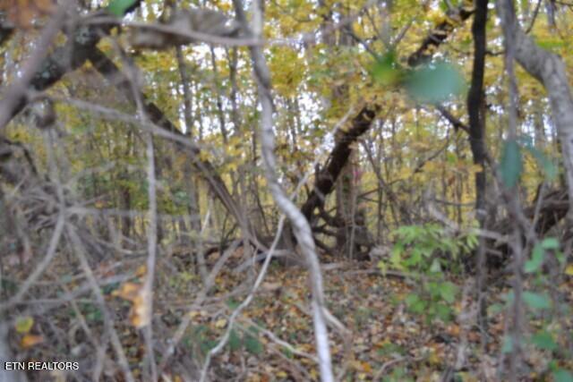 10.70-ac Red Oak Ridge Road Celina, TN 38551 - Photo 34 of 39 DSC_0037