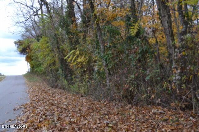 10.70-ac Red Oak Ridge Road Celina, TN 38551 - Photo 4 of 39 DSC_0003