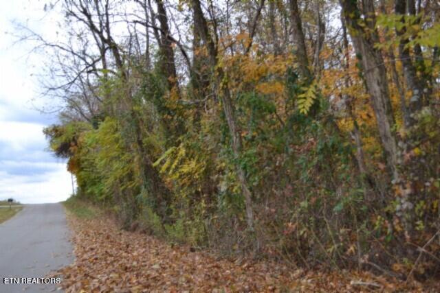 10.70-ac Red Oak Ridge Road Celina, TN 38551 - Photo 5 of 39 DSC_0004