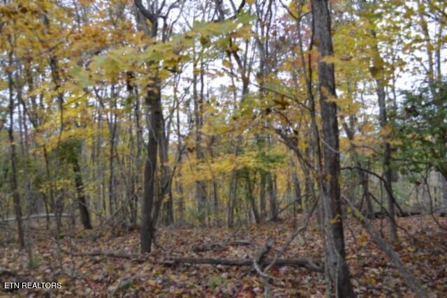 10.70-ac Red Oak Ridge Road Celina, TN 38551 - Photo 6 of 39 DSC_0005