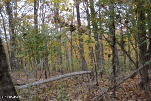 10.70-ac Red Oak Ridge Road Celina, TN 38551 - Photo 8 of 39 DSC_0008