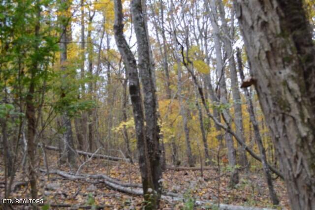 10.70-ac Red Oak Ridge Road Celina, TN 38551 - Photo 10 of 39 DSC_0010