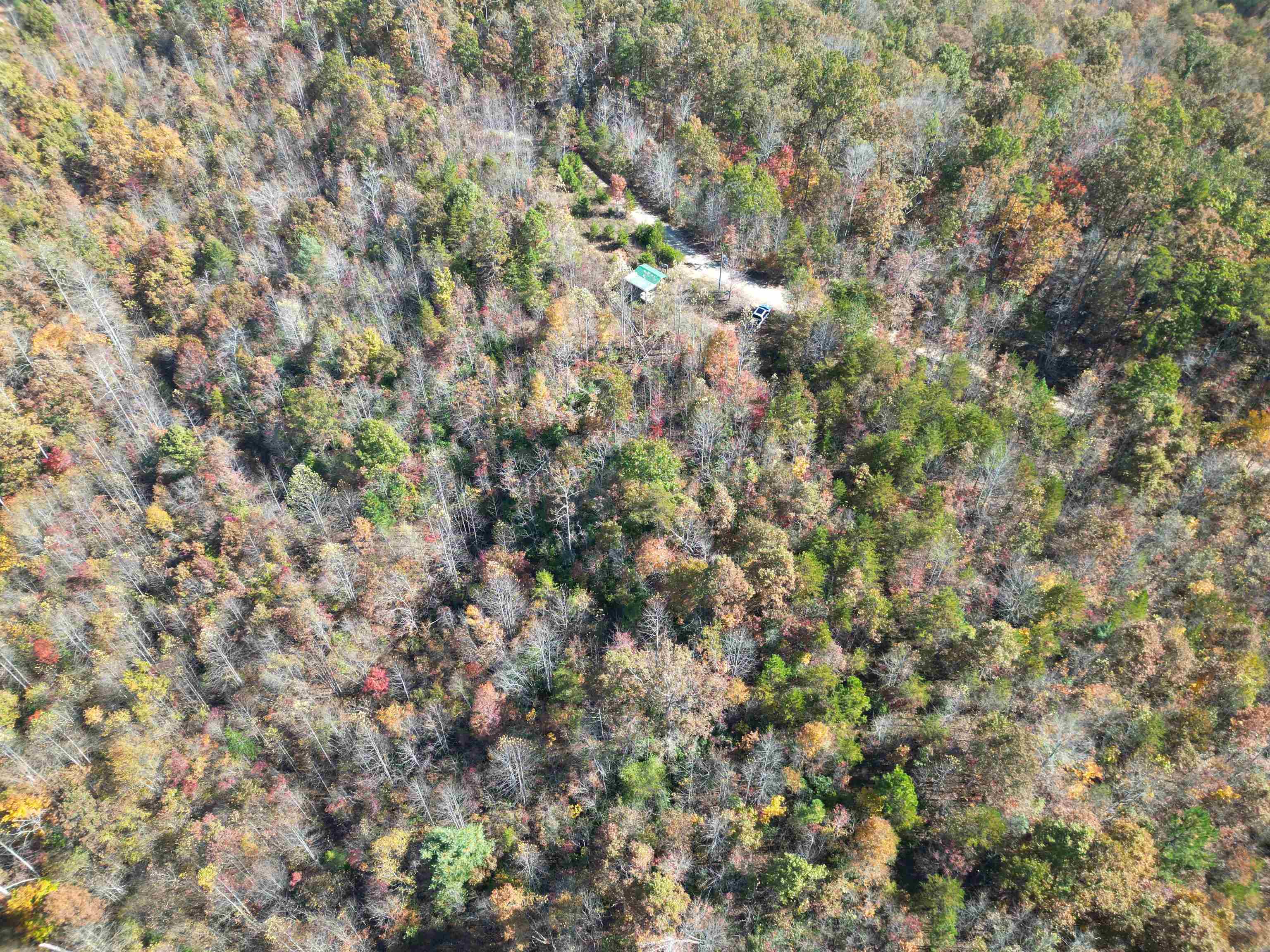 324 Daves Valley Road Pickens, SC 29671 - Photo 19 of 21