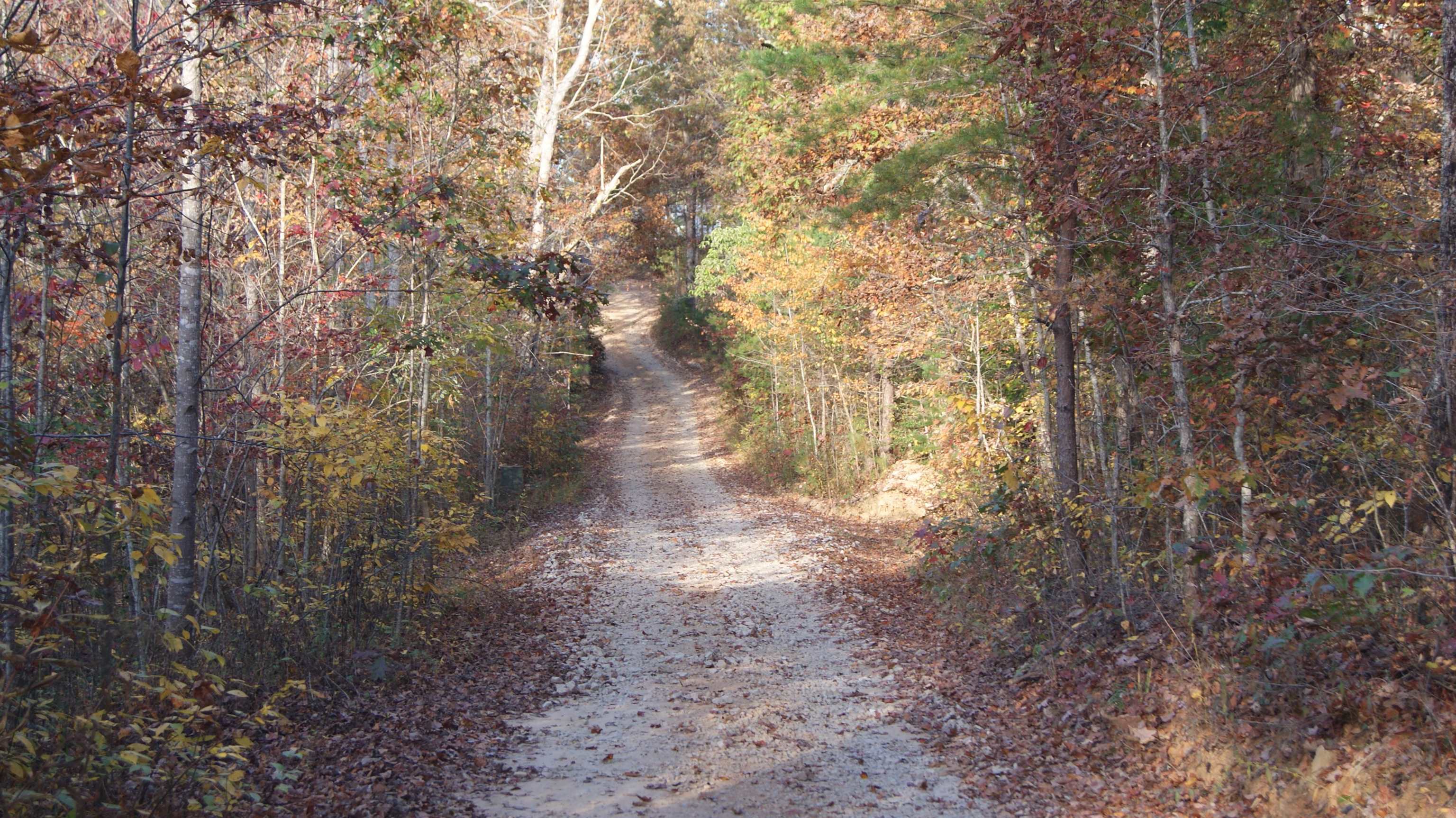 324 Daves Valley Road Pickens, SC 29671 - Photo 4 of 21