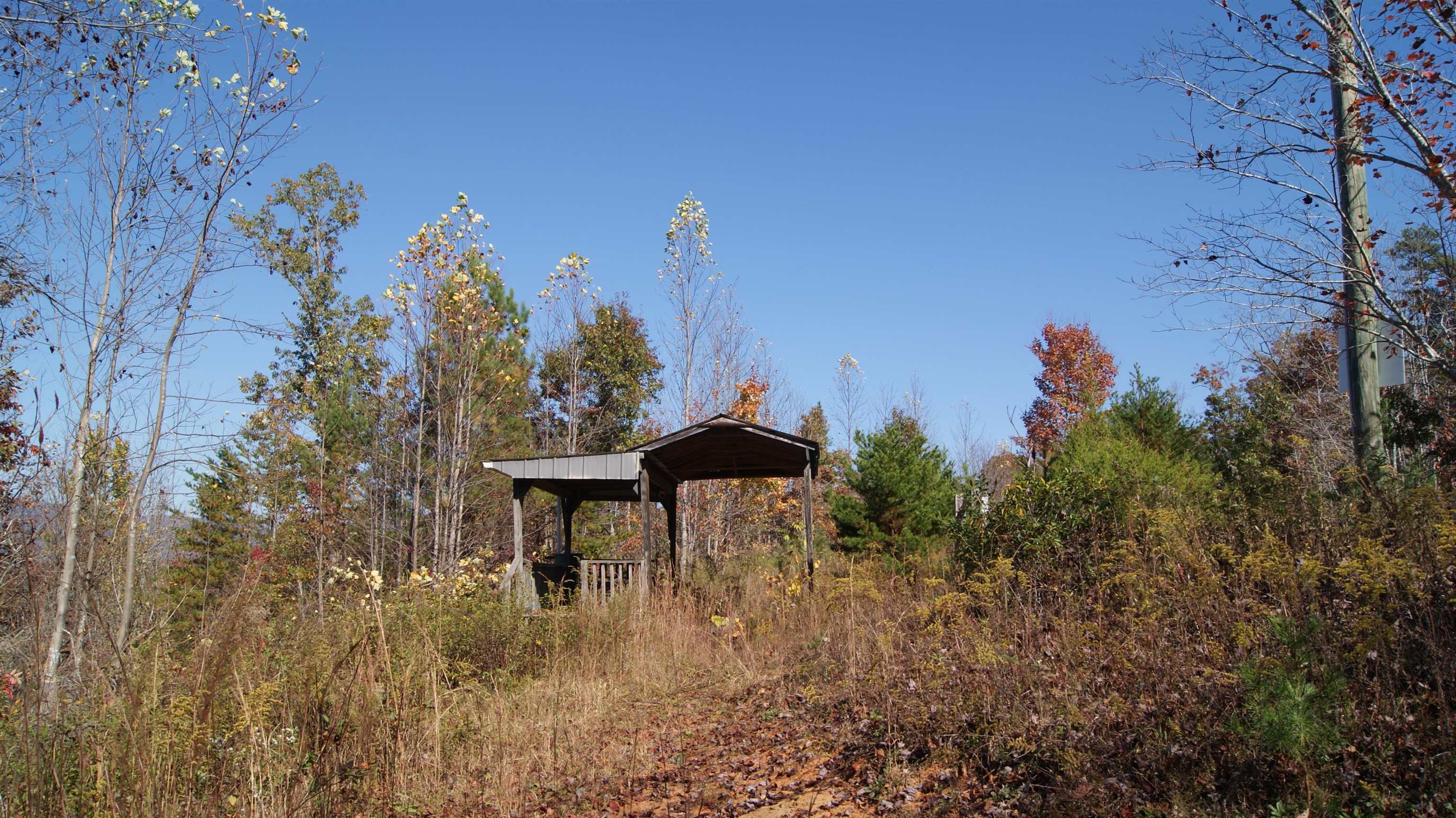 324 Daves Valley Road Pickens, SC 29671 - Photo 6 of 21