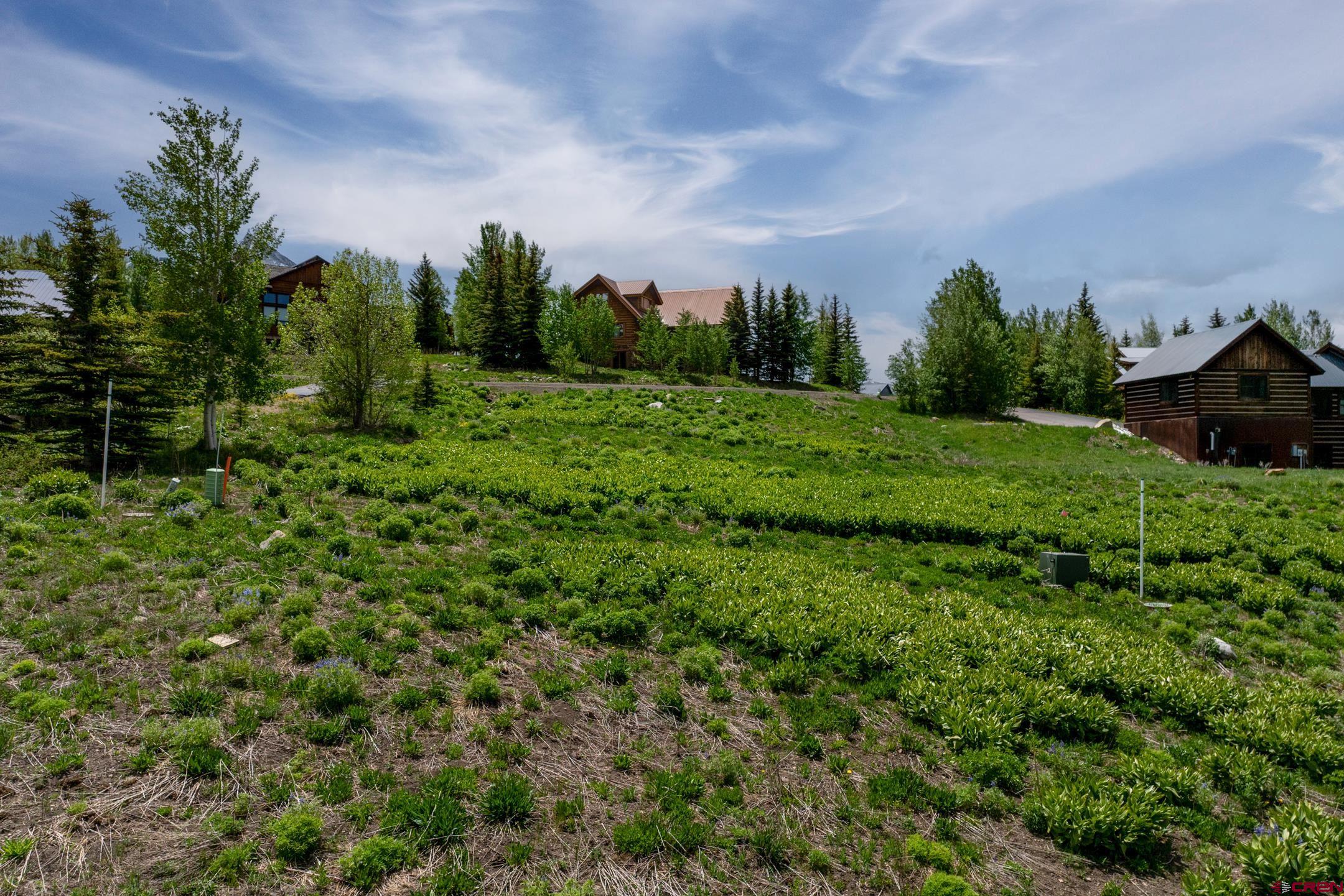 916 Gothic Road Crested Butte, CO 81225 - Photo 2 of 21