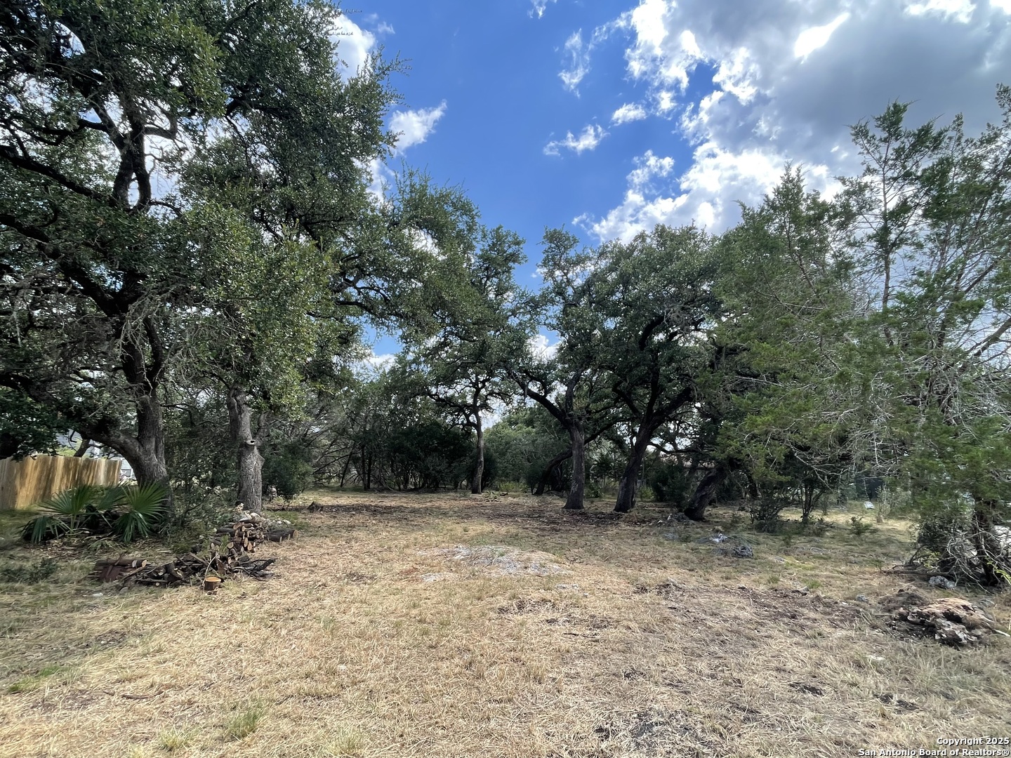 161 Sunnyside Court Spring Branch, TX 78070 - Photo 3 of 11 a view of backyard with tree