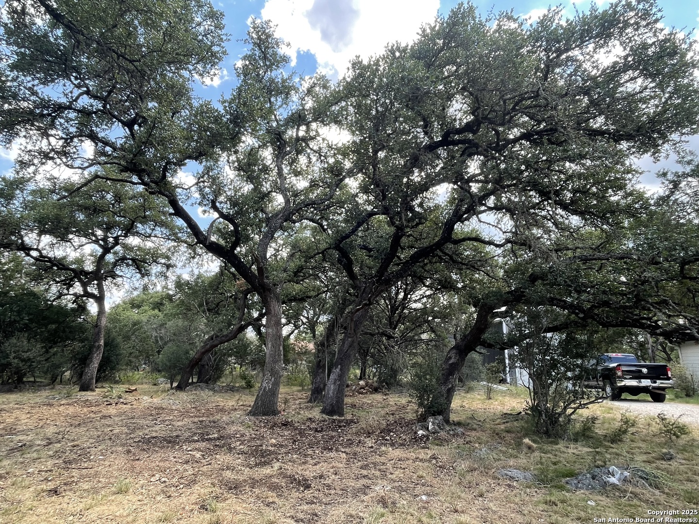 161 Sunnyside Court Spring Branch, TX 78070 - Photo 5 of 11 a view of a forest with trees