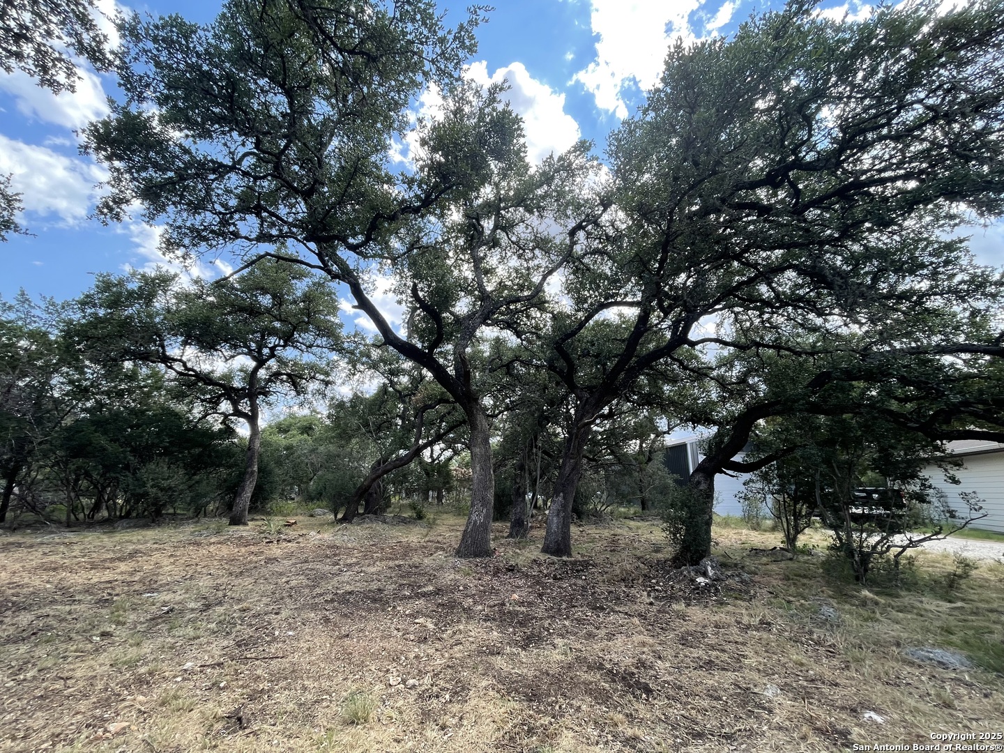 161 Sunnyside Court Spring Branch, TX 78070 - Photo 6 of 11 a view of a trees with a tree
