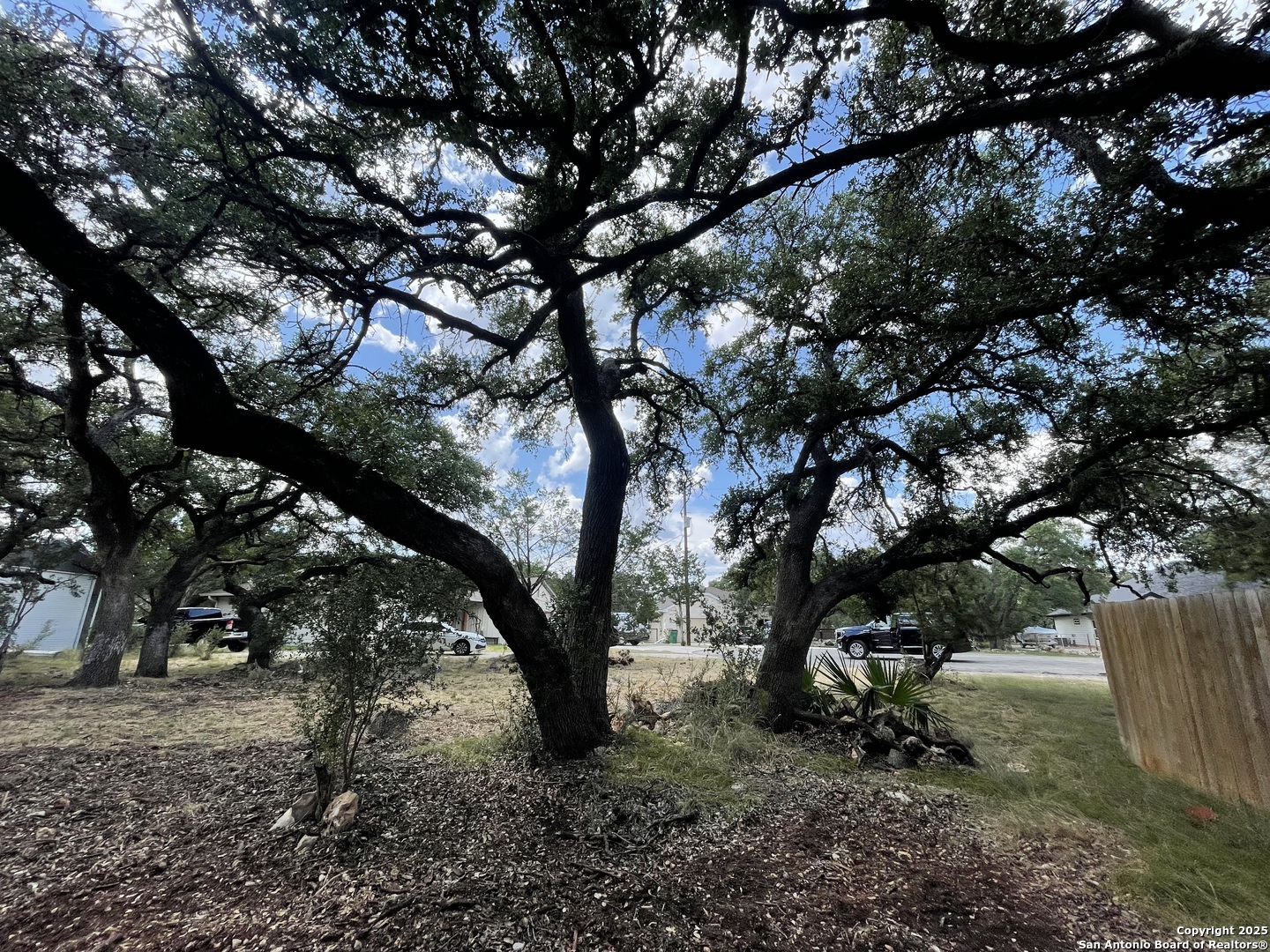 161 Sunnyside Court Spring Branch, TX 78070 - Photo 8 of 11 a view of tree
