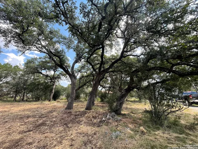 a view of outdoor space with trees