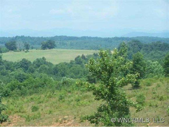 Lot 226 Bitterroot Circle Rutherfordton, NC 28139 - Photo 1 of 10