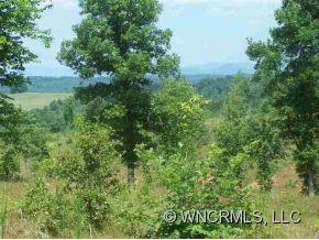 Lot 226 Bitterroot Circle Rutherfordton, NC 28139 - Photo 3 of 10