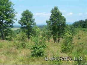 Lot 226 Bitterroot Circle Rutherfordton, NC 28139 - Photo 4 of 10