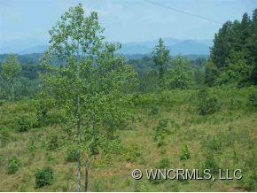 Lot 226 Bitterroot Circle Rutherfordton, NC 28139 - Photo 8 of 10