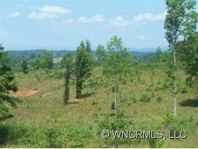 Lot 226 Bitterroot Circle Rutherfordton, NC 28139 - Photo 9 of 10