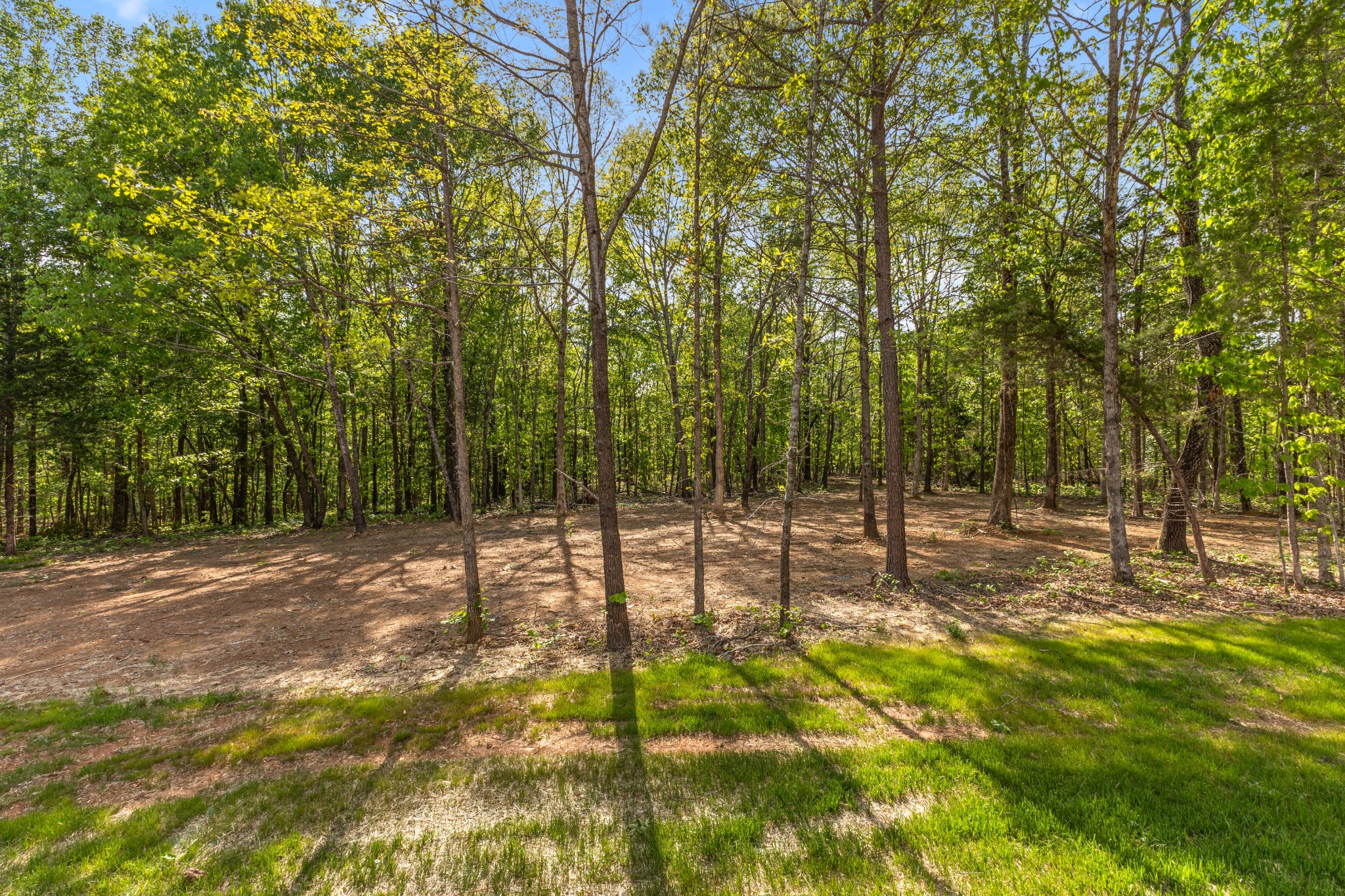 1013 Walnut Grove Road Dickson, TN 37055 - Photo 35 of 38 a view of a yard with a house
