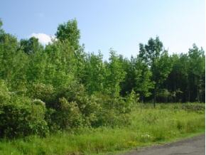 1 Amber Hill Road Conklin, NY 13748 - Photo 1 of 1 Gallery Image 1