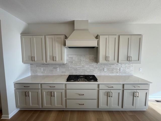 6625 Wolfberry Curve Minnetrista, MN 55331 - Photo 3 of 43