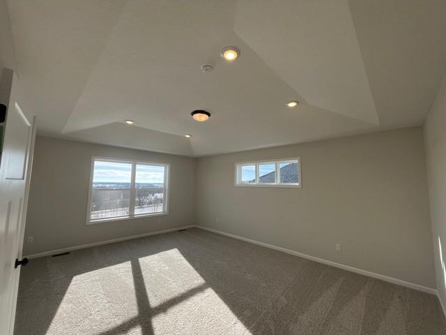 6625 Wolfberry Curve Minnetrista, MN 55331 - Photo 9 of 43