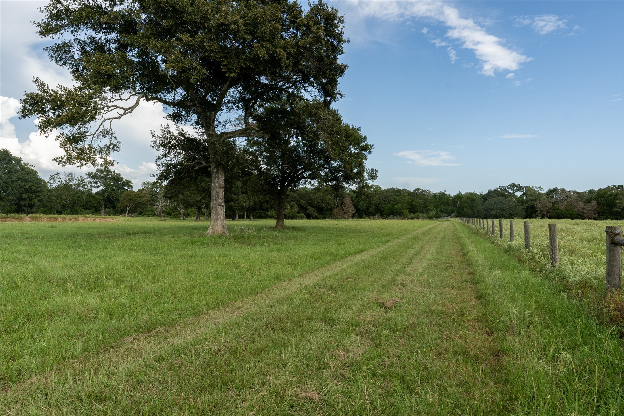 0 Aztec Lane Cat Spring, TX 78933 - Photo 14 of 24