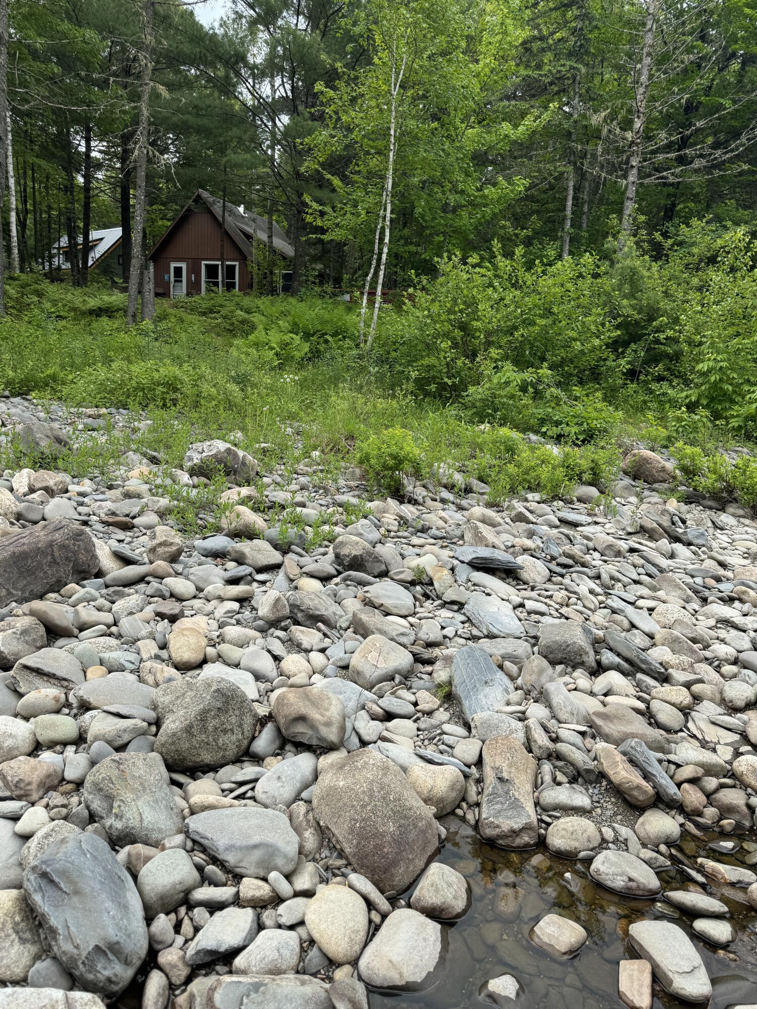 6 Maple Drive Abbot, ME 04406 - Photo 5 of 83 IMG_3550