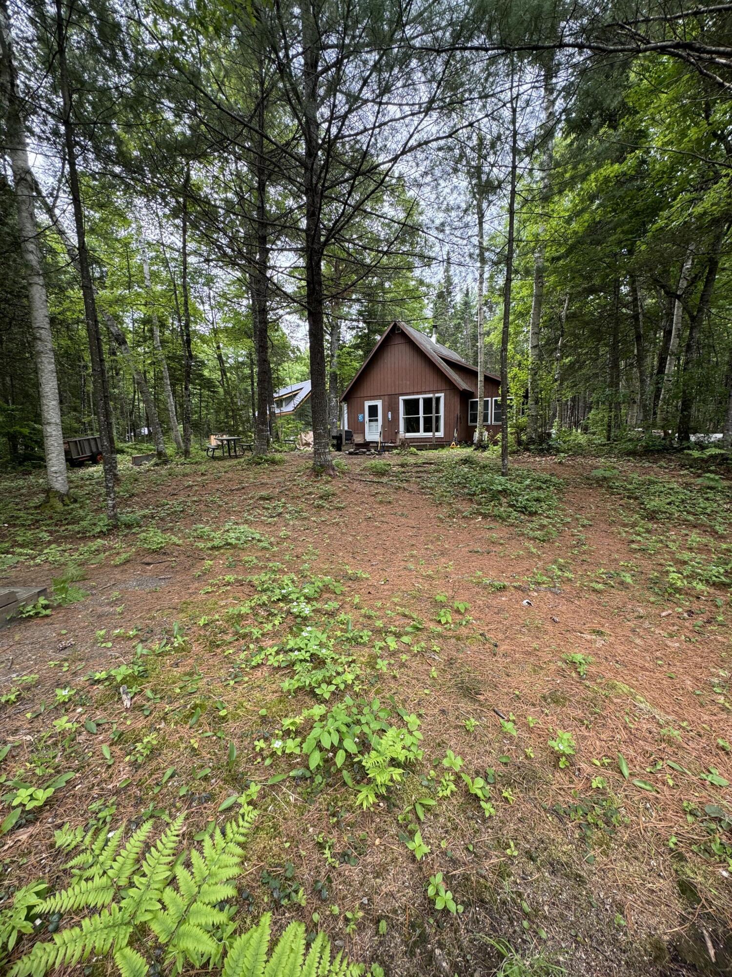 6 Maple Drive Abbot, ME 04406 - Photo 63 of 83 IMG_3540