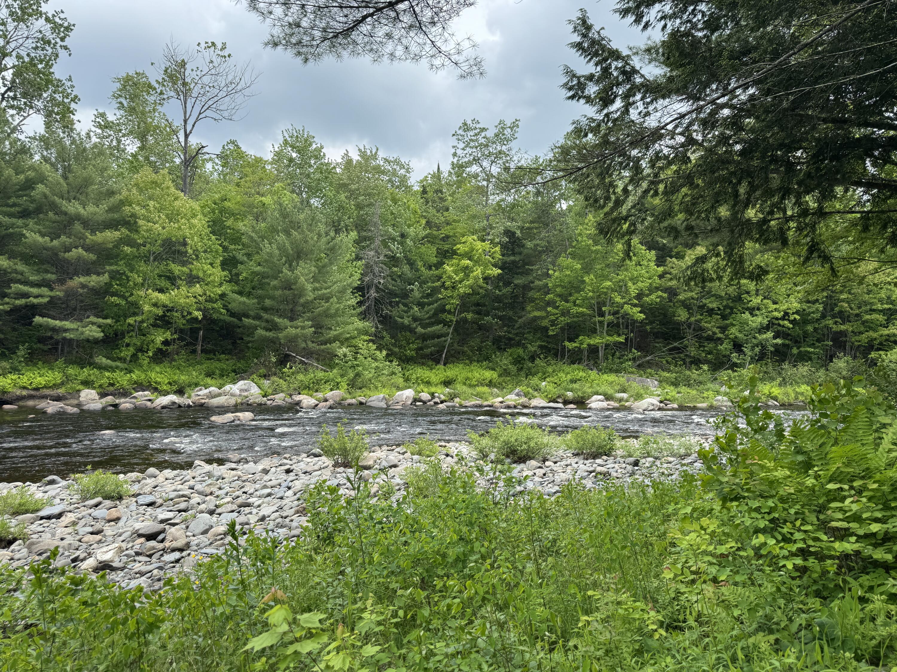 6 Maple Drive Abbot, ME 04406 - Photo 66 of 83 IMG_3542