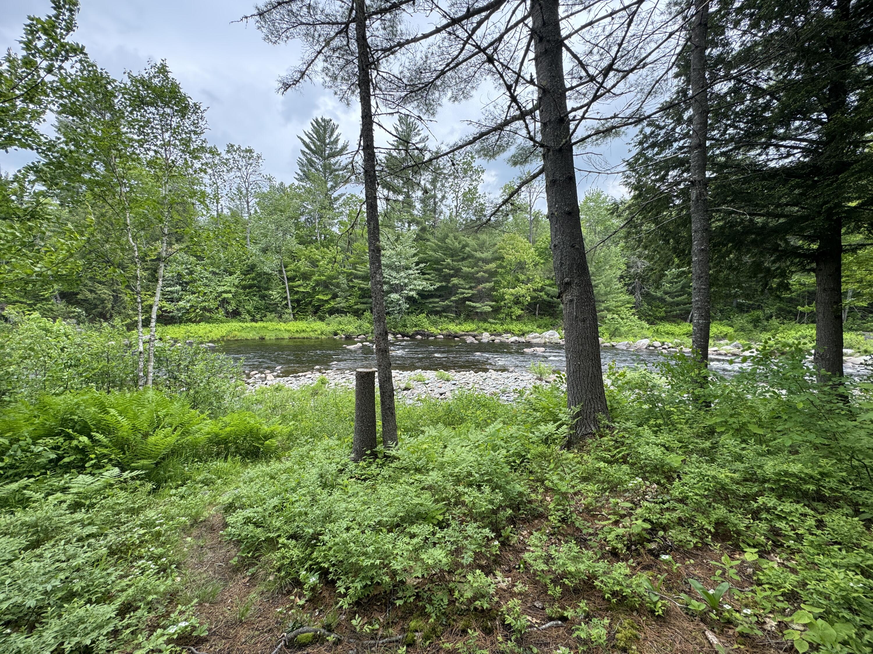 6 Maple Drive Abbot, ME 04406 - Photo 68 of 83 IMG_3541
