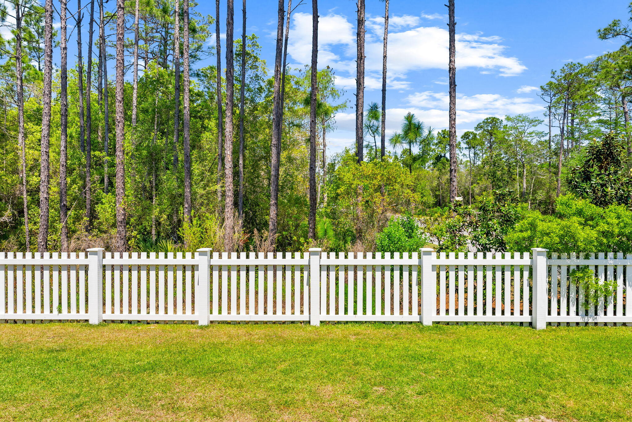 20 West Firethorn Cir Inlet Beach, Unit LOT 9 Inlet Beach, FL 32461 - Photo 56 of 88 56-web-or-mls-PANHANDLE - 20 W FIRETHORN