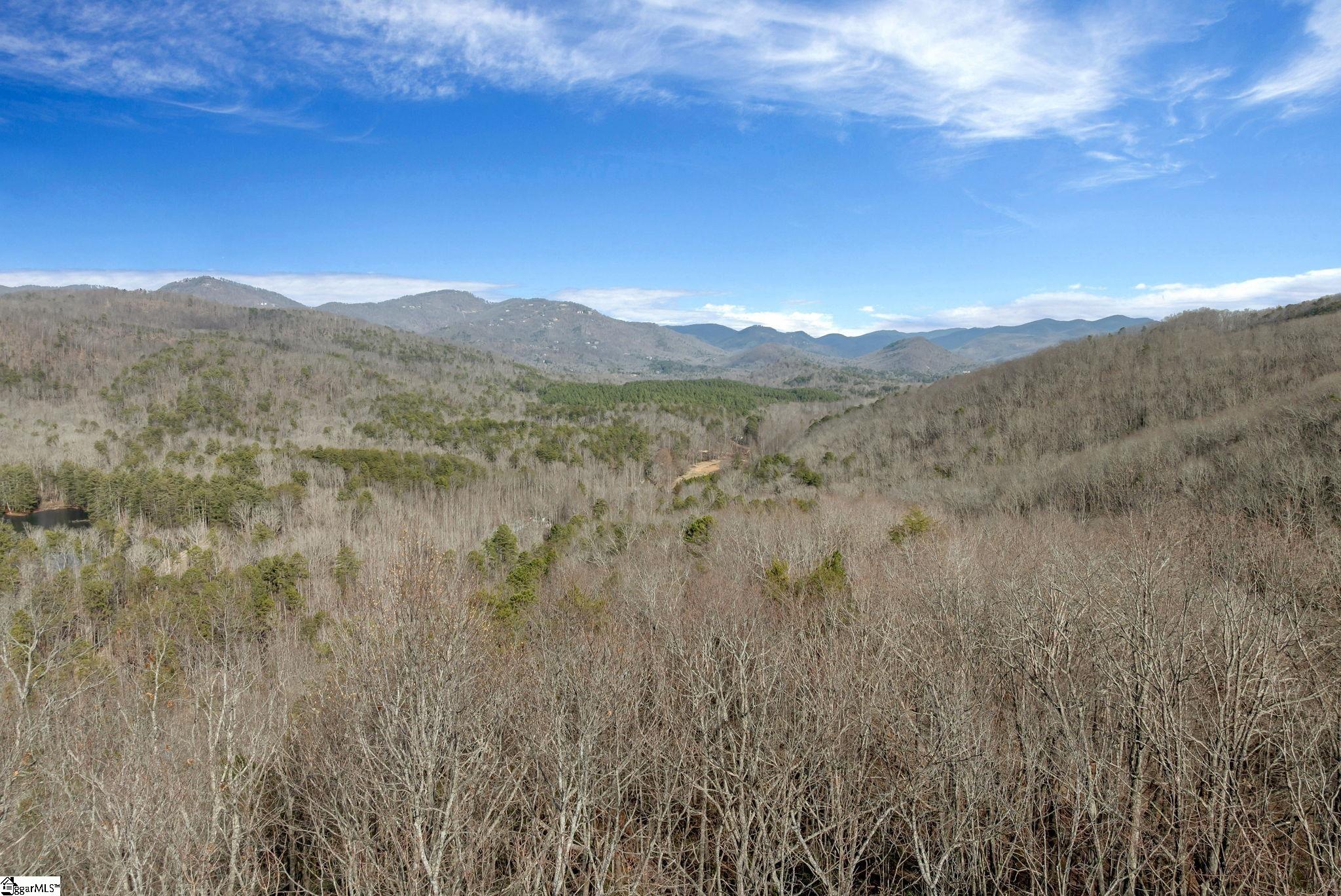 201 Plumley Summit Road Landrum, SC 29356 - Photo 33 of 34