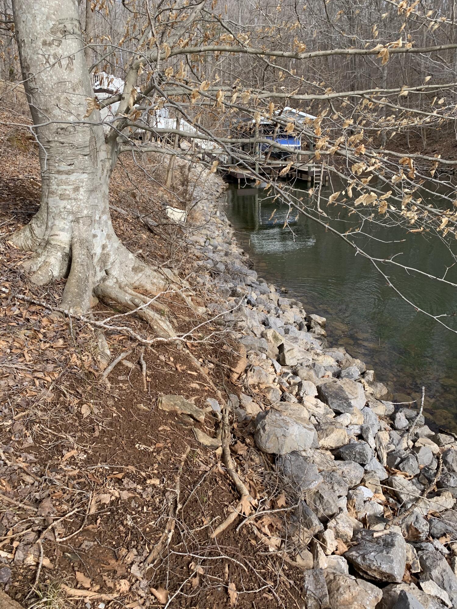 Lot 13 Little Creek Road Moneta, VA 24121 - Photo 11 of 12 IMG_0053