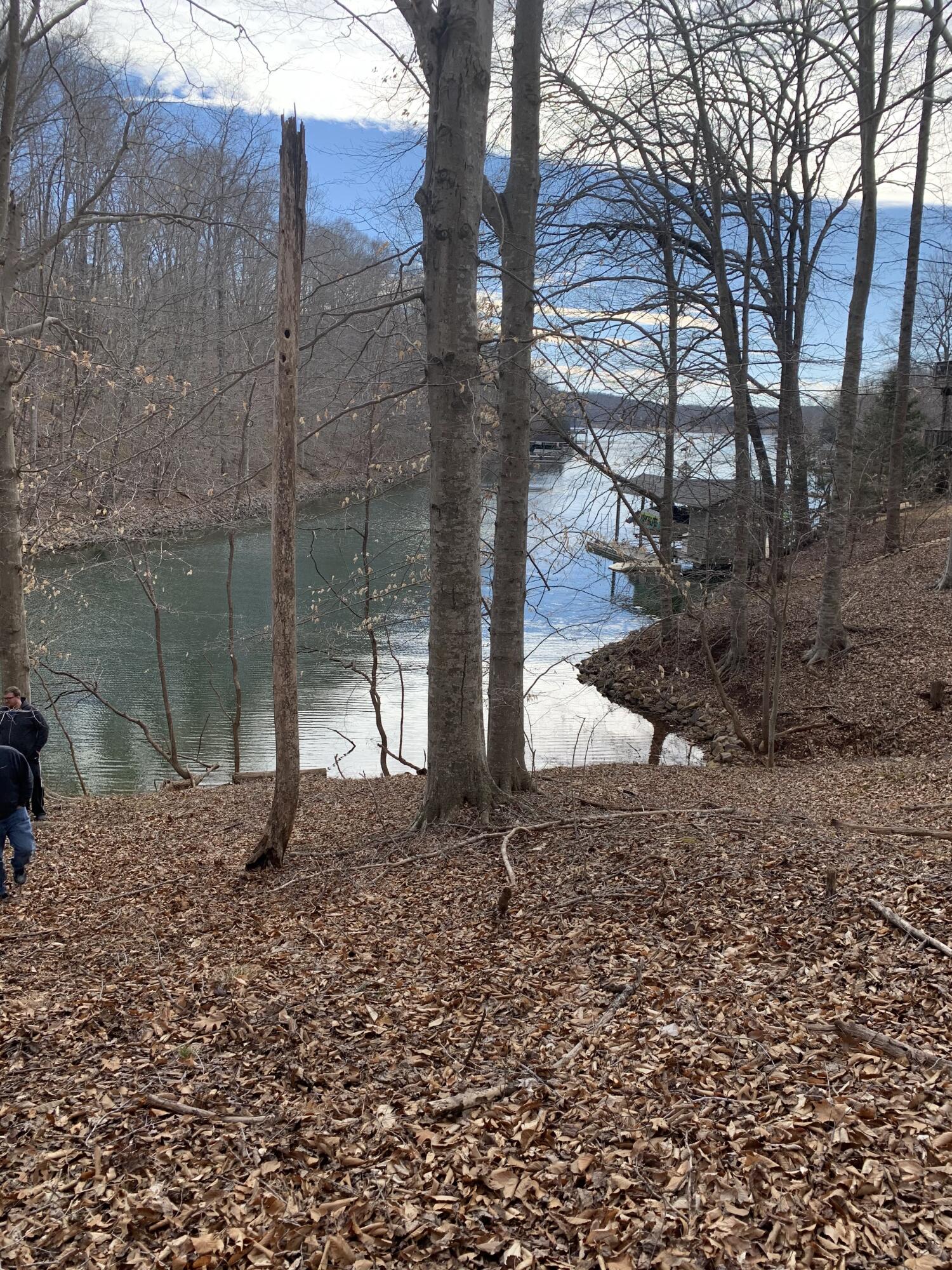 Lot 13 Little Creek Road Moneta, VA 24121 - Photo 12 of 12 IMG_0059