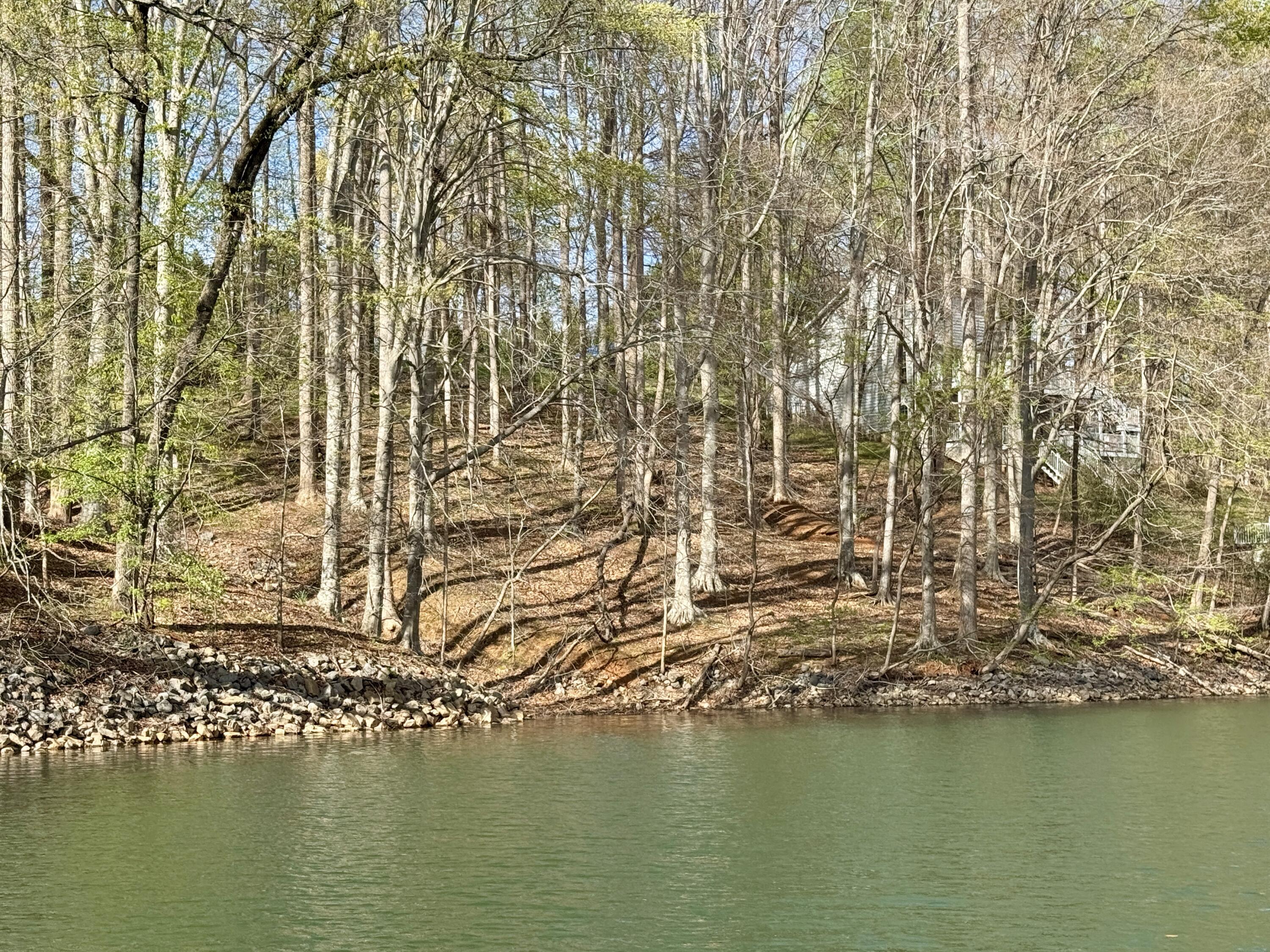 Lot 13 Little Creek Road Moneta, VA 24121 - Photo 2 of 12 IMG_7246