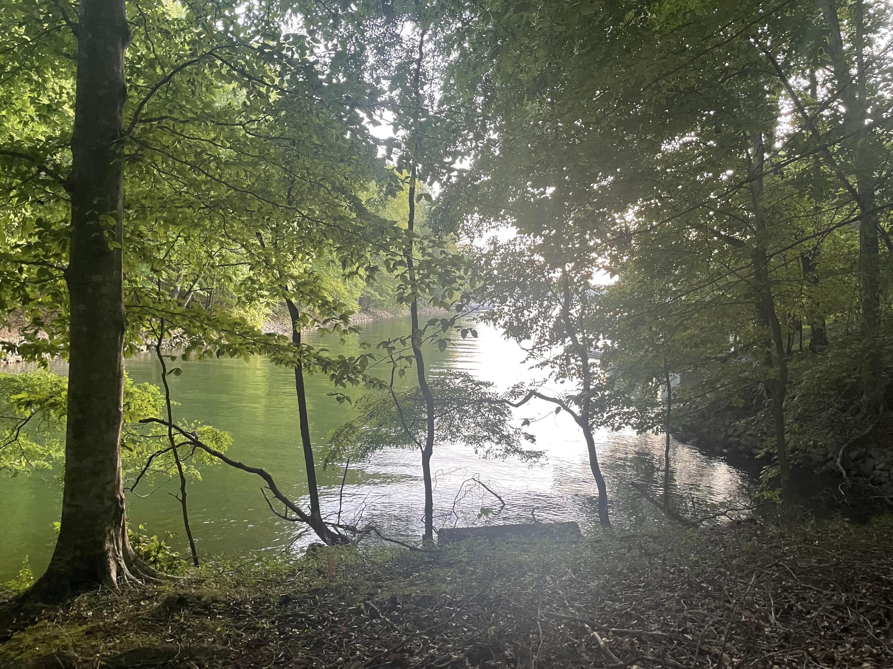 Lot 13 Little Creek Road Moneta, VA 24121 - Photo 4 of 12 IMG_9594