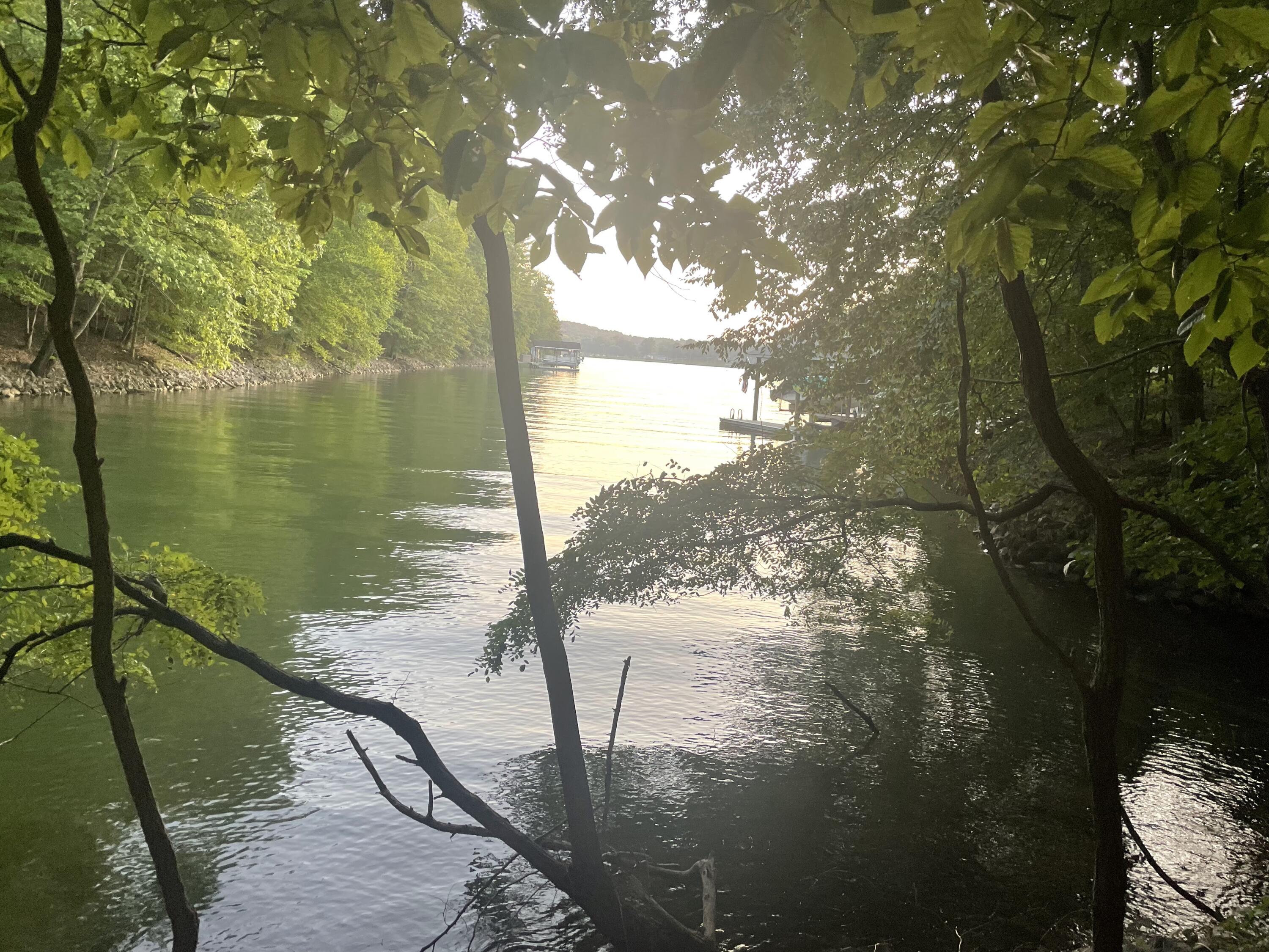 Lot 13 Little Creek Road Moneta, VA 24121 - Photo 5 of 12 IMG_9595