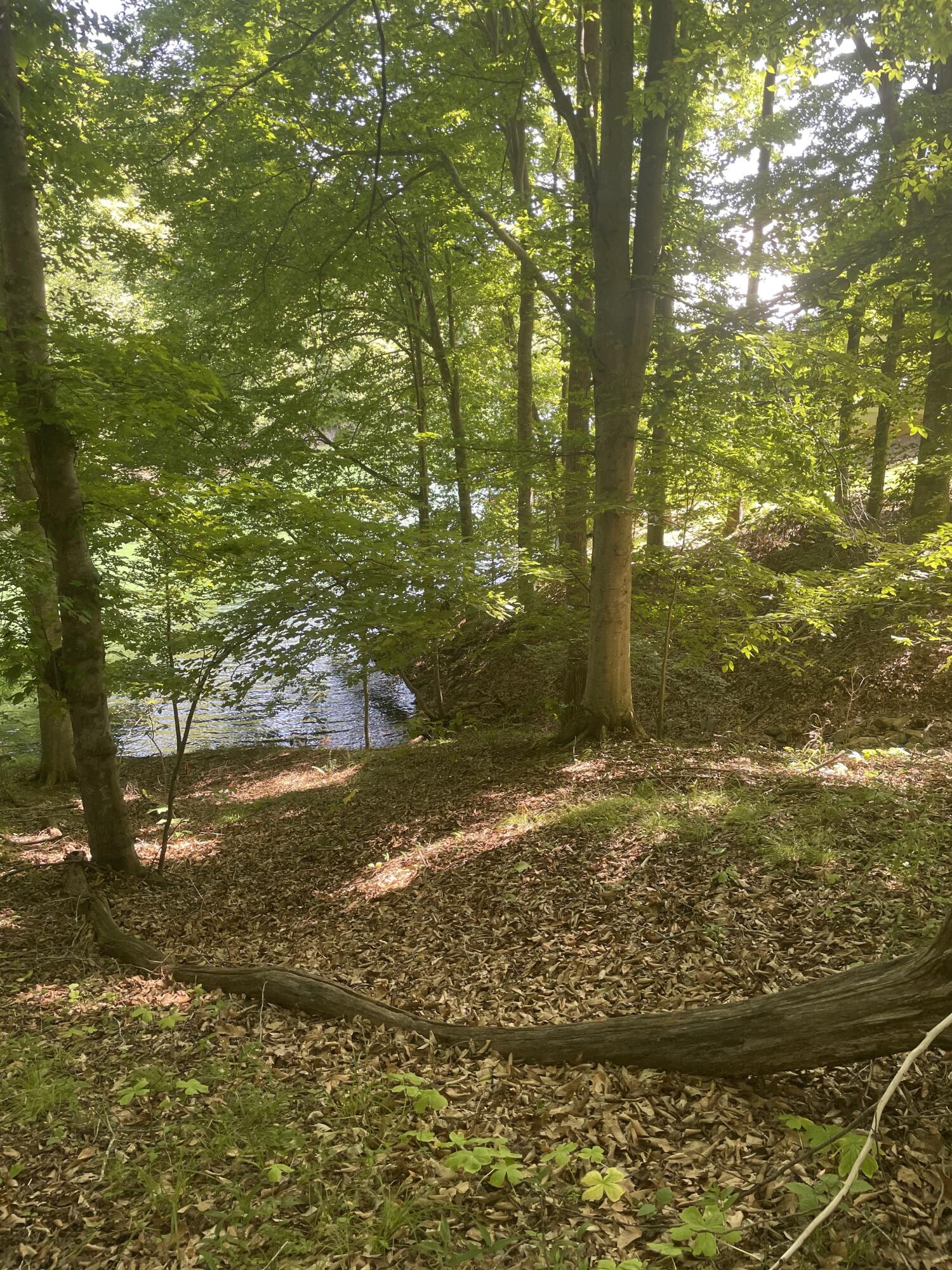 Lot 13 Little Creek Road Moneta, VA 24121 - Photo 6 of 12 IMG_6920