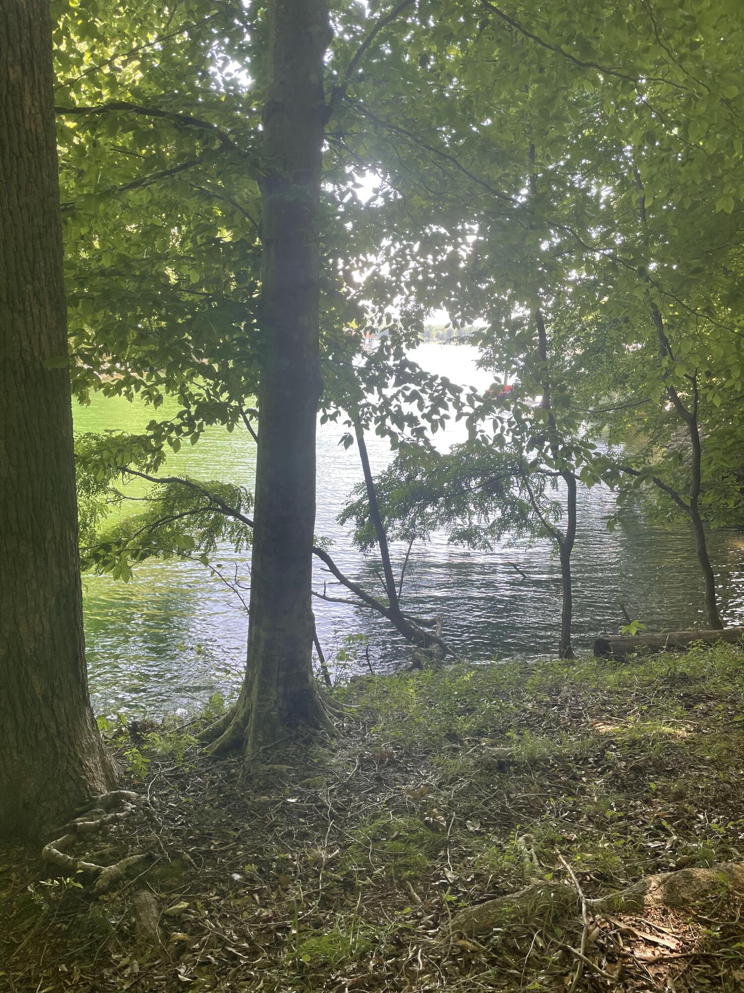 Lot 13 Little Creek Road Moneta, VA 24121 - Photo 7 of 12 IMG_6917