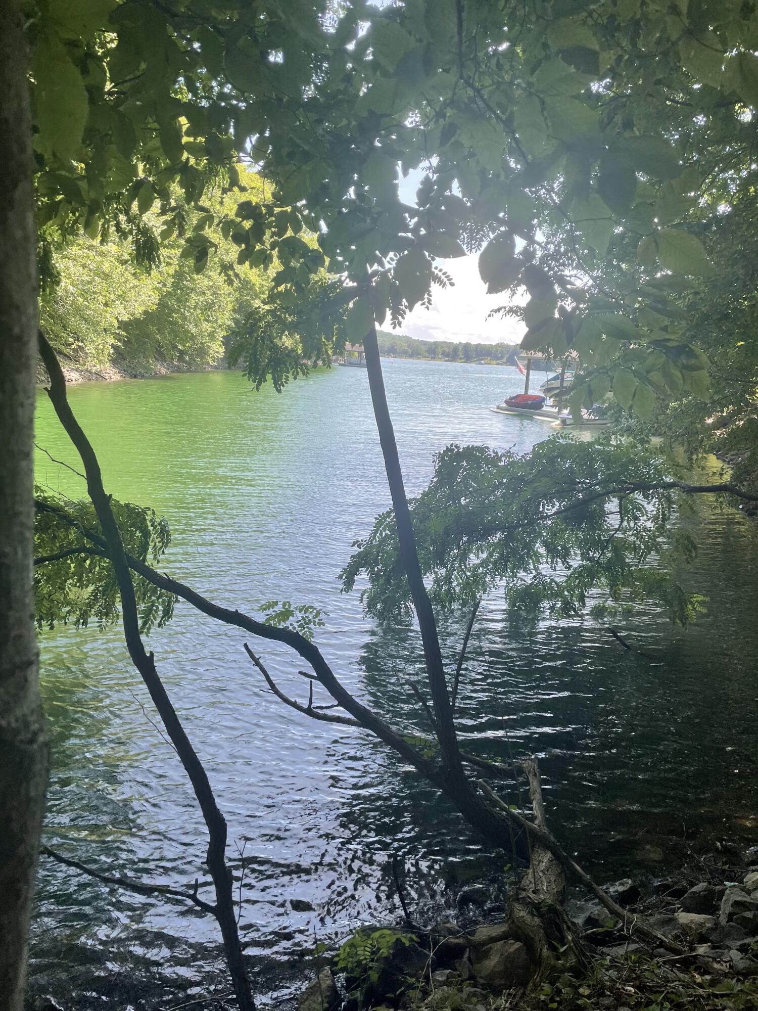 Lot 13 Little Creek Road Moneta, VA 24121 - Photo 8 of 12 IMG_6916