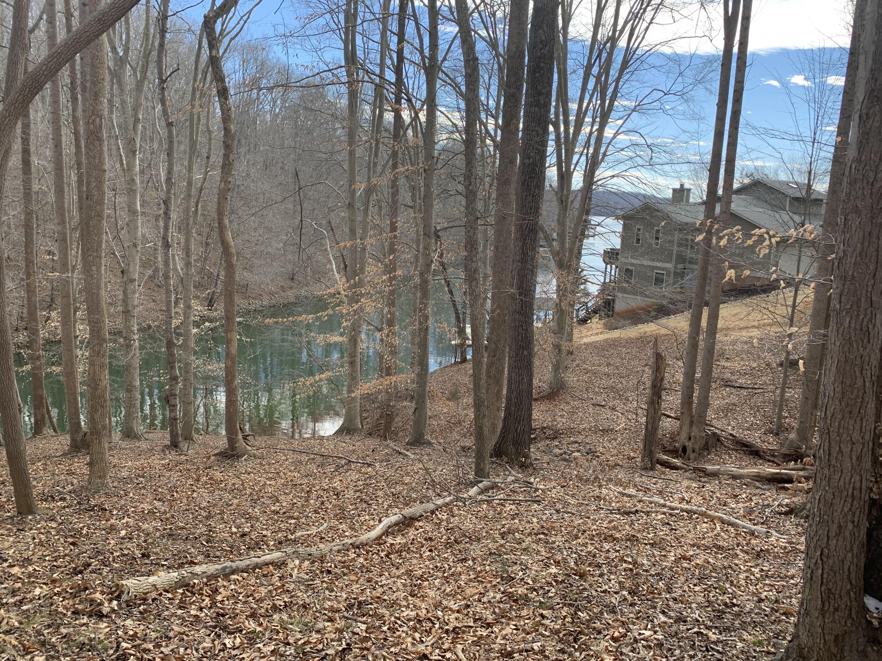 Lot 13 Little Creek Road Moneta, VA 24121 - Photo 9 of 12 IMG_0062