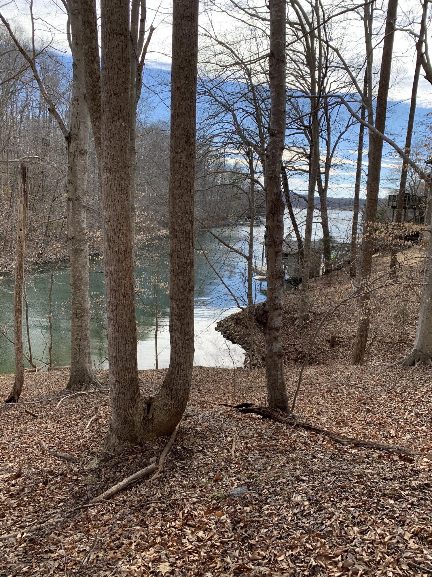 Lot 13 Little Creek Road Moneta, VA 24121 - Photo 10 of 12 IMG_0047