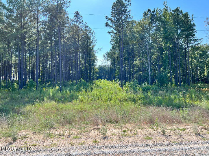 591 Stump Ridge Road Brandon, MS 39047 - Photo 1 of 4 2023-08-04_18-38-35 Front