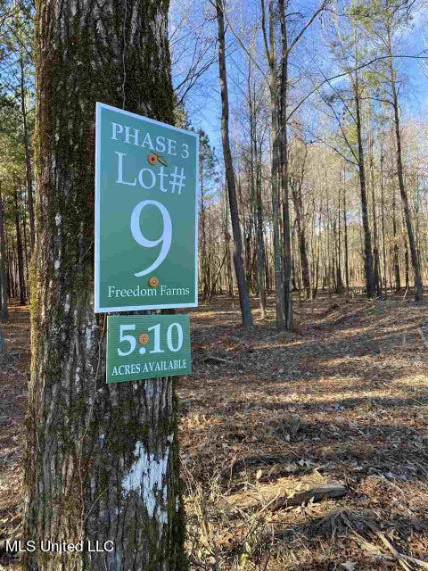 591 Stump Ridge Road Brandon, MS 39047 - Photo 4 of 4 2023-08-03_8-55-50 Lot 9