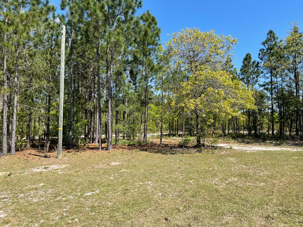 808 Kedron Church Road Aiken, SC 29805 - Photo 10 of 11