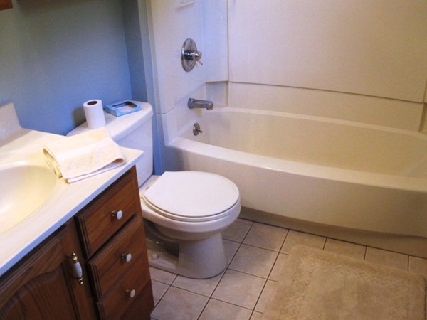 294 Southampton Road Westhampton, MA 01027 - Photo 11 of 26 a bathroom with a sink a toilet and bathtub