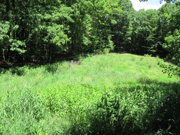 294 Southampton Road Westhampton, MA 01027 - Photo 26 of 26 a view of yard with green space