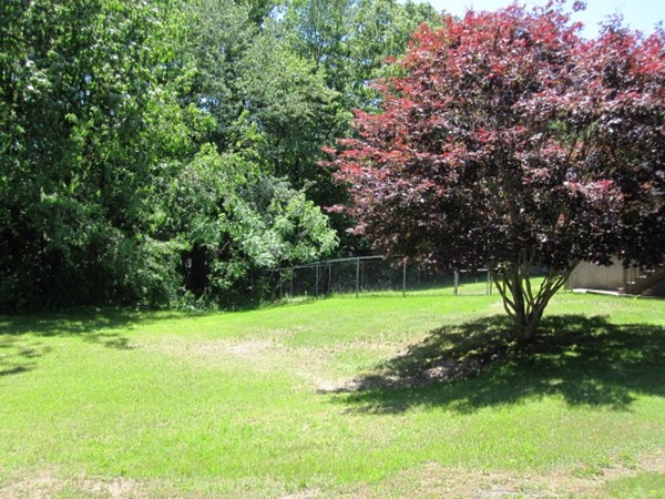 294 Southampton Road Westhampton, MA 01027 - Photo 3 of 26 a view of green field with trees in the background