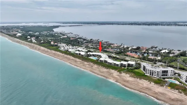 an outdoor space with lots of trees